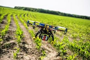 MT Soluções Agrícolas União Bandeirantes